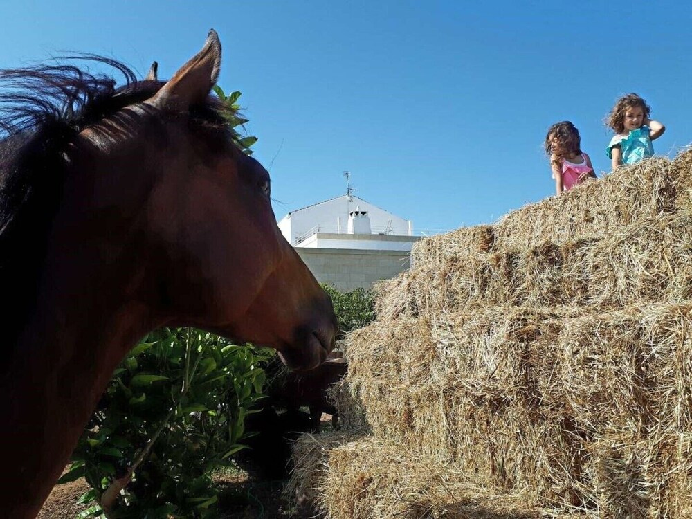 Masseria Costarella
