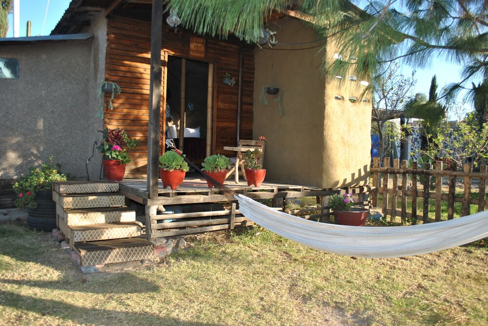 Photo 31