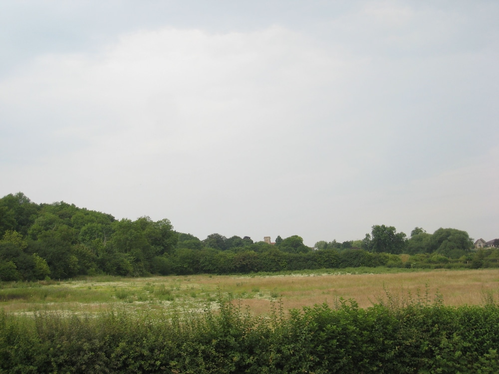Photo 45