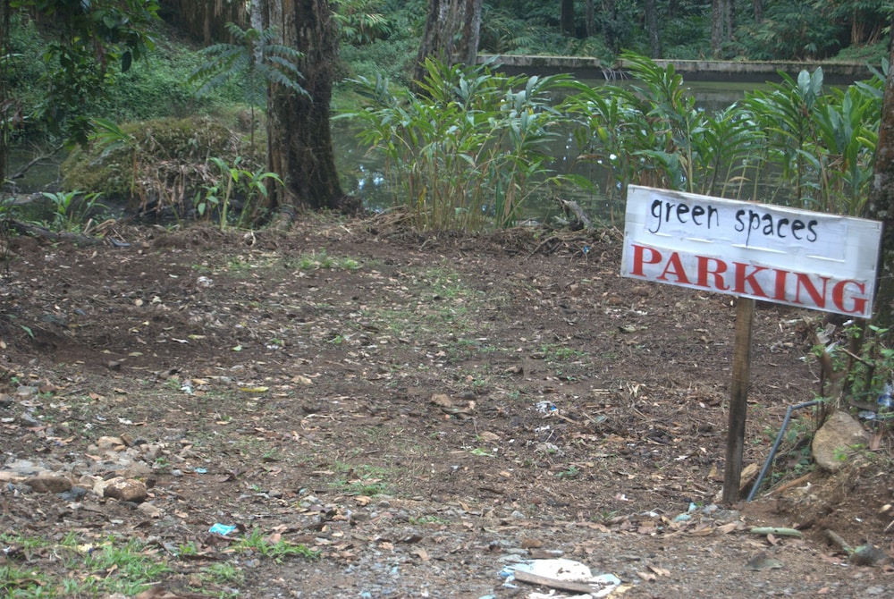 Green Spaces Munnar view 3