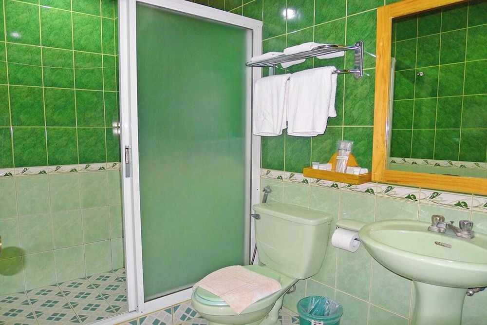 Ridgewood Hotel Baguio Near The Mansion