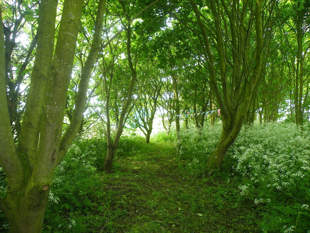 Highfield Farm