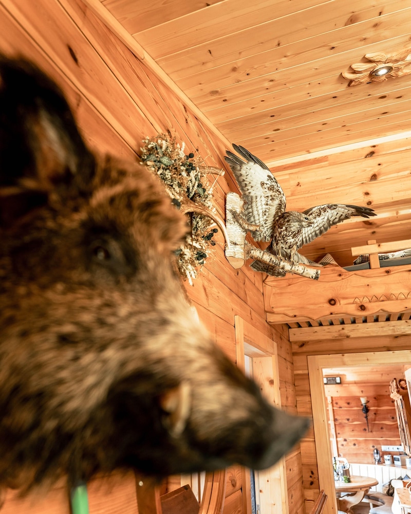 Rustic hut on the Mountain in Salzburg
