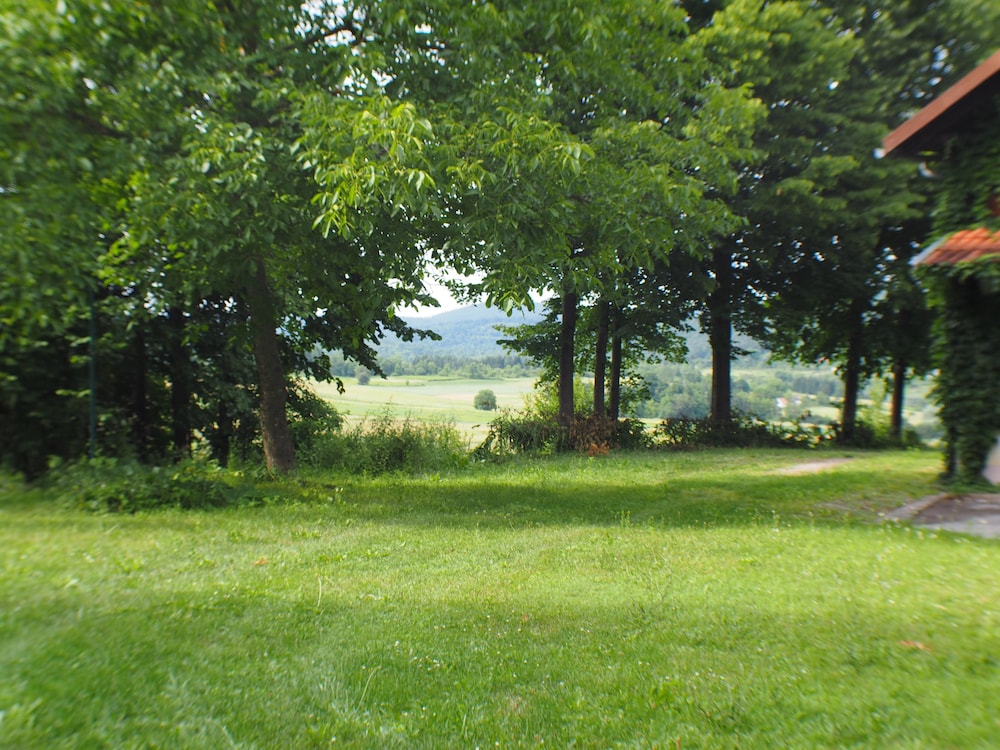 Photo 49