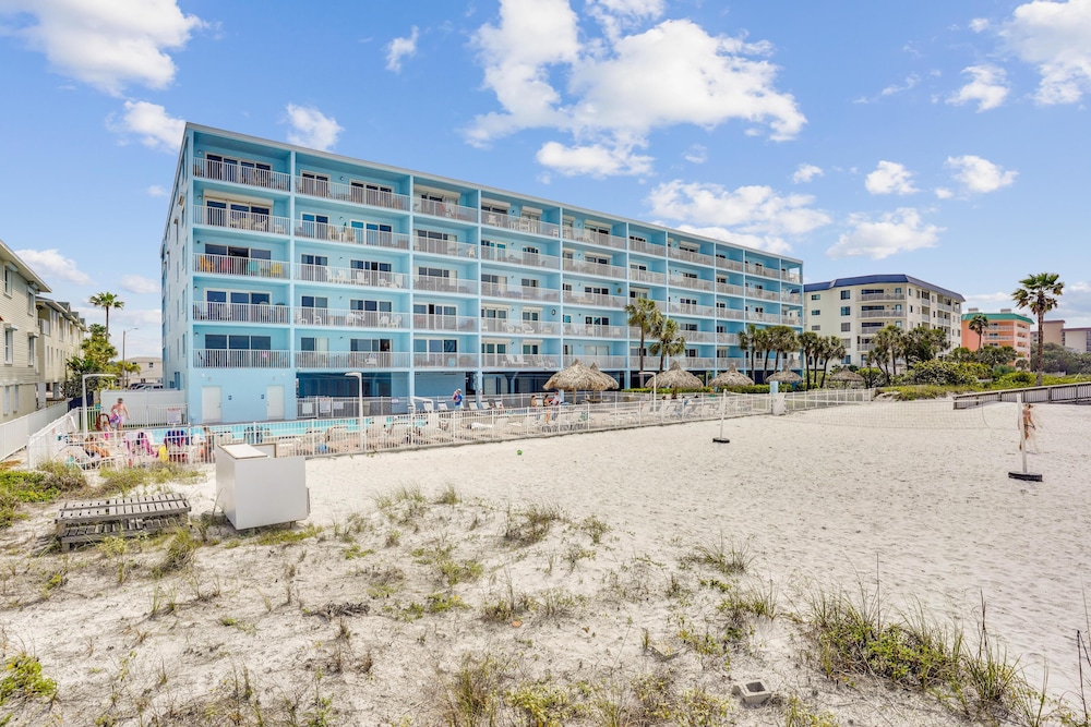 Sand Dollar 107
