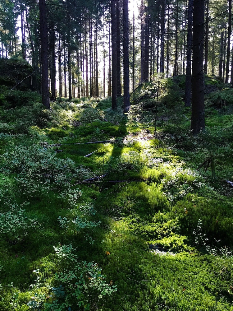 Anfasteröd Gårdsvik