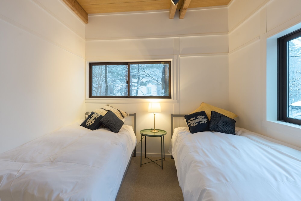 KONAYUKI CABIN HAKUBA view 3