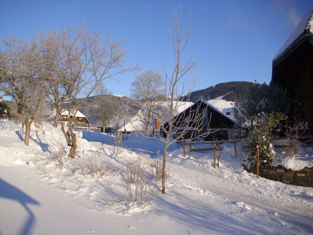 Photo 50