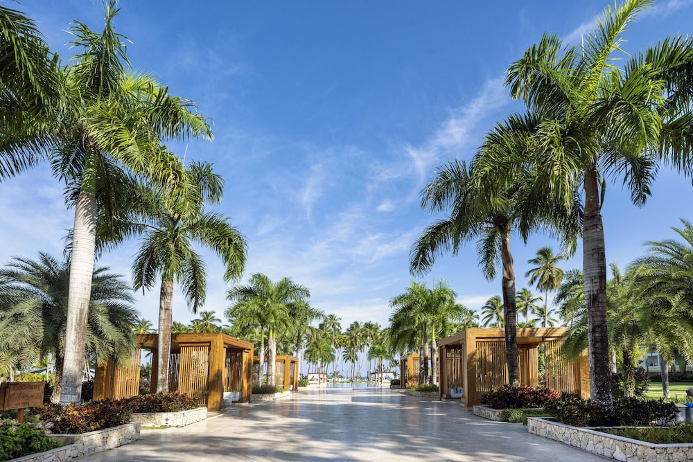 Viva V Samana by Wyndham, A Trademark Adults All Inclusive - Photo 96