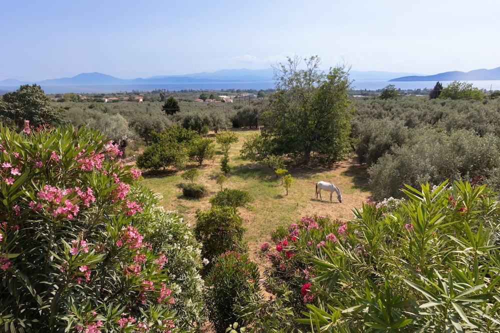 Villa Annelies Pelion