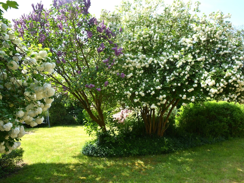 Photo 34