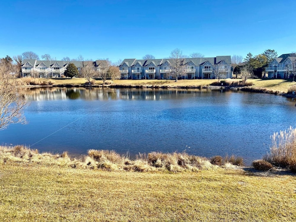 Spring Lake 731