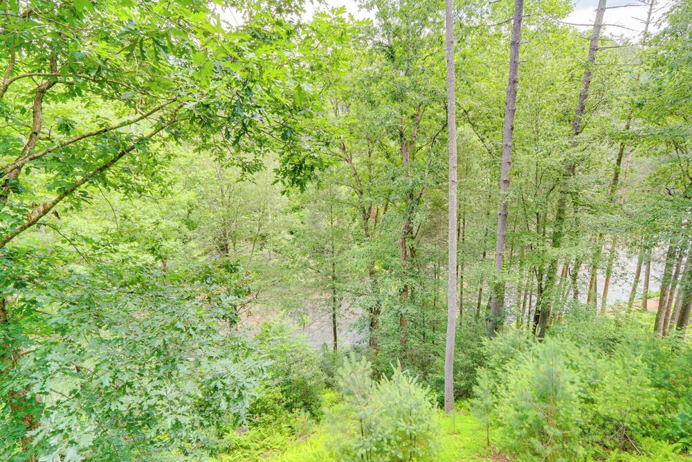 Pet-friendly Resort Cabin 5 Mi to Dtwn Ellijay!