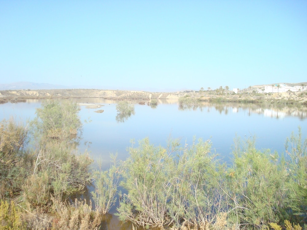 Charming Vacation Rental in Vera Spain Ideal Retreat for Families and Pet Lover