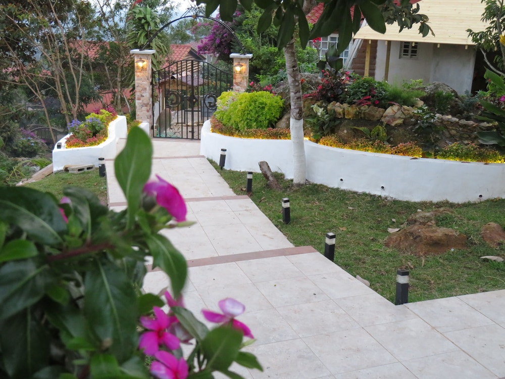 Photo 7