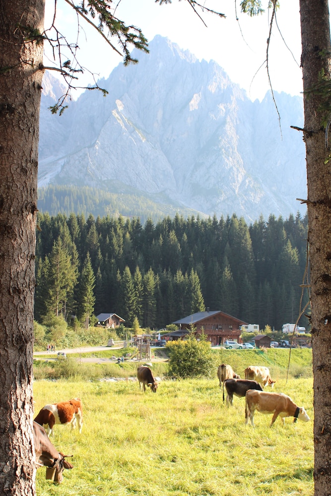 Alpin Haus