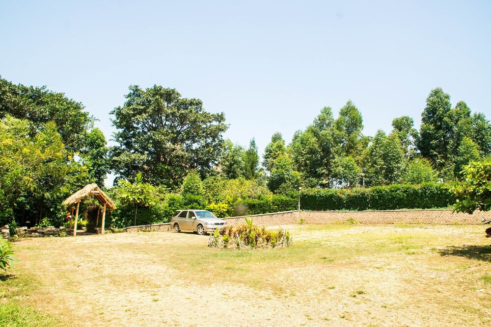The Baboon Safari Resort
