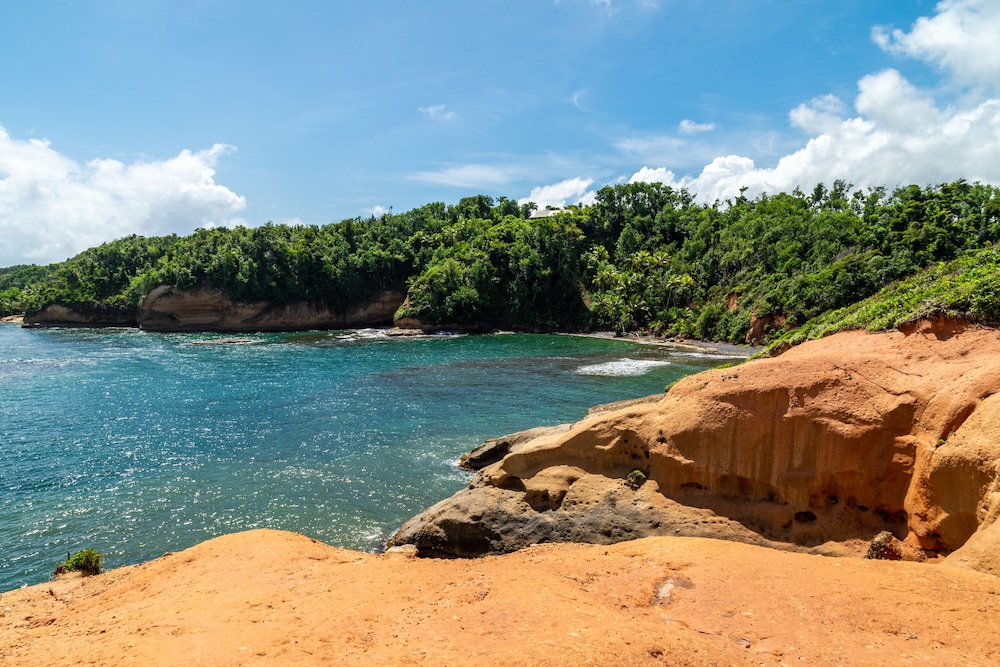 Kootney Resorts - Photo 17
