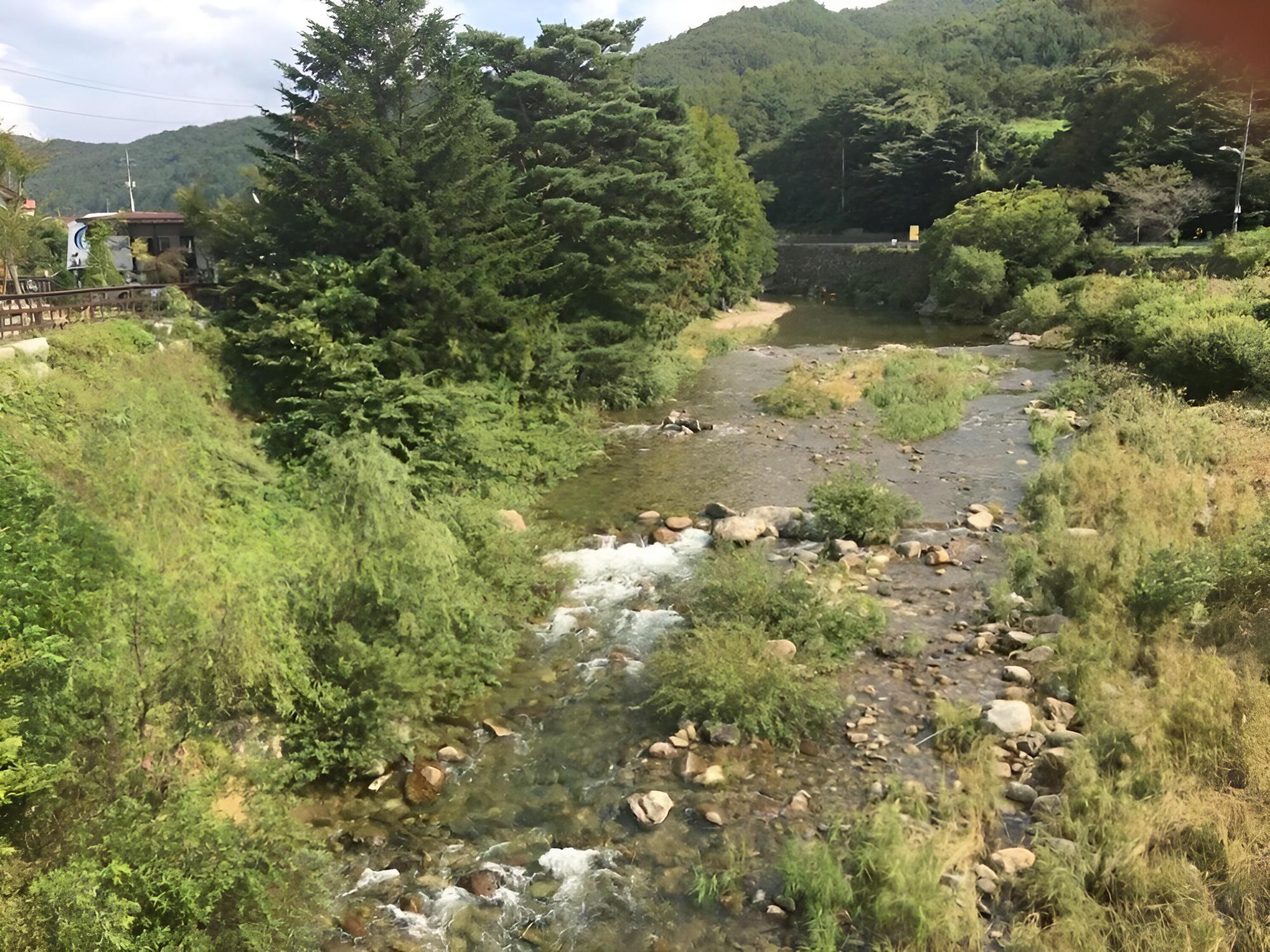 Photo 28