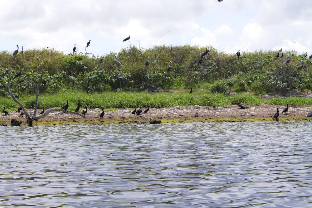 San Felipe Inn Yucatan - Property Image 29