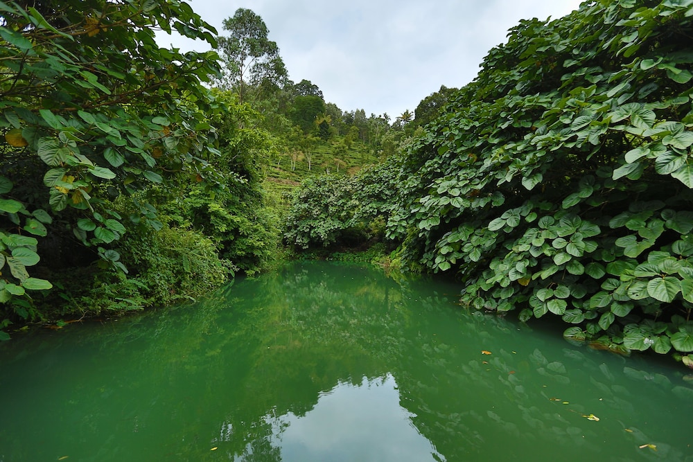Rivulet