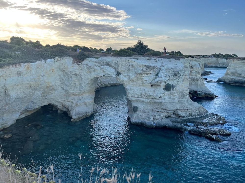 Tenute Masseria Notari