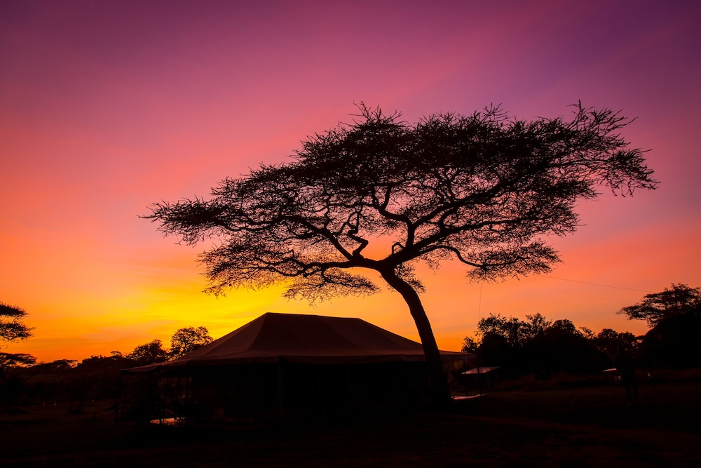 Kisura Serengeti Tented Camp
