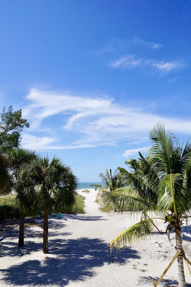 The Molloy - A Boutique Beach Resort