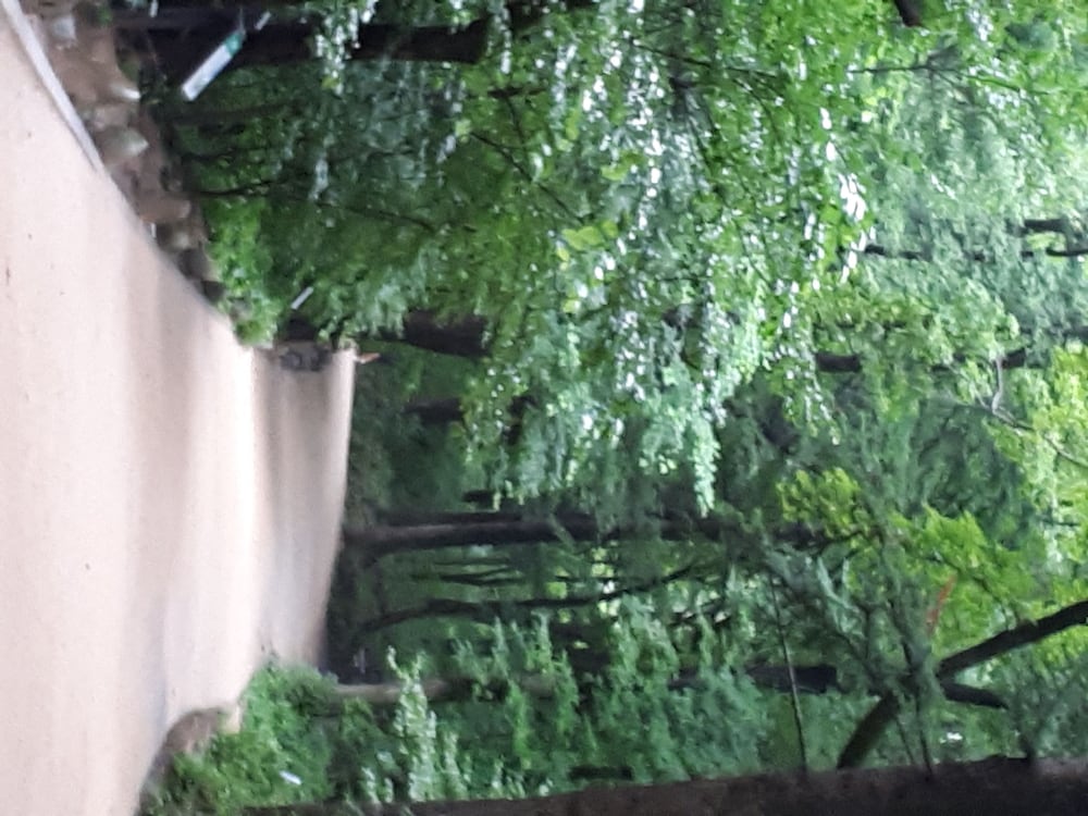 Odae Mountain Golden Light Pension