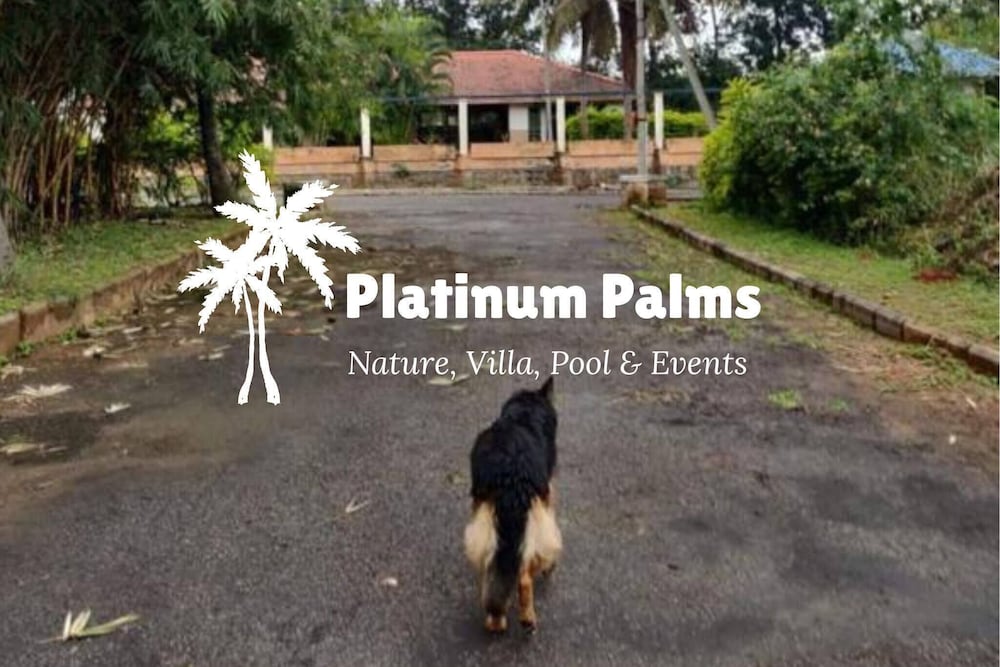 Platinum Palms Villa With Pool