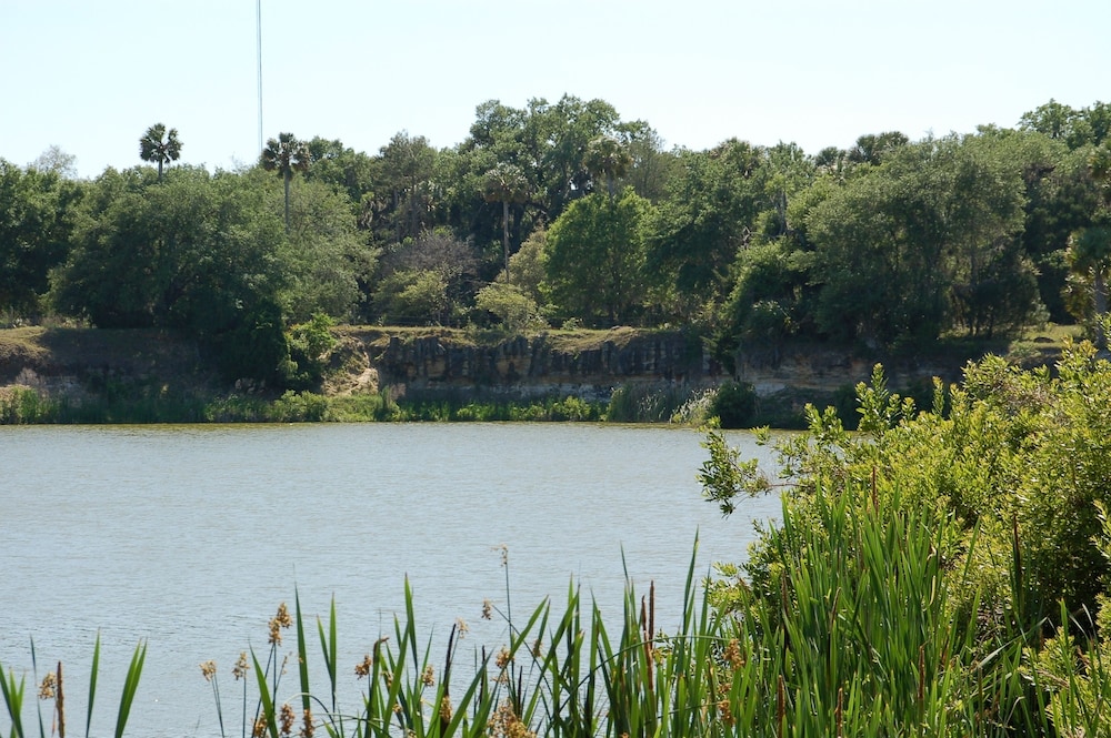 Bulow RV Resort