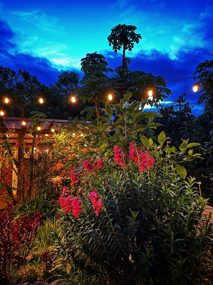 Casa Agrreste Bed & Breakfast