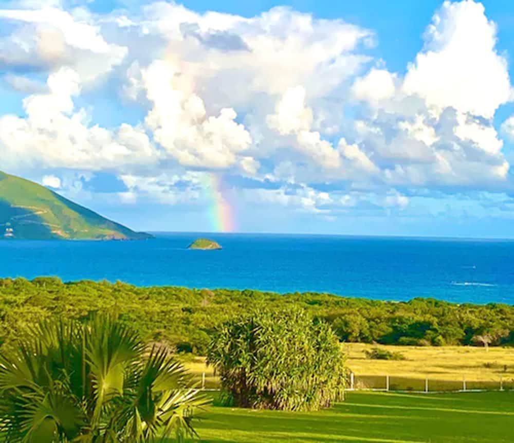 Mount Nevis Hotel - Property Image 6