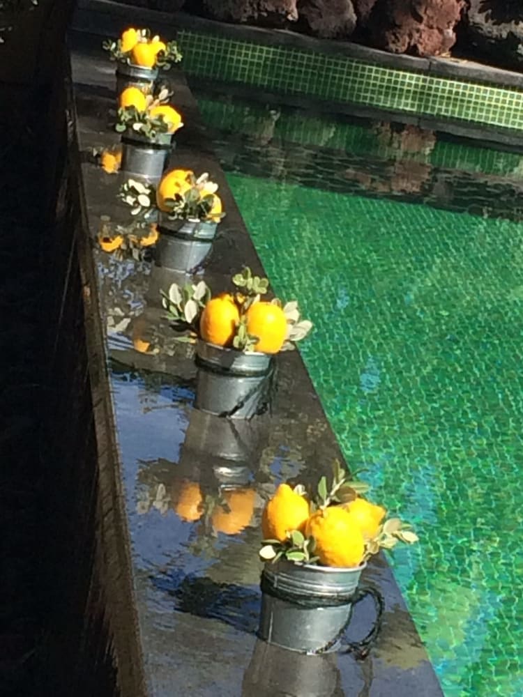 Photo 101