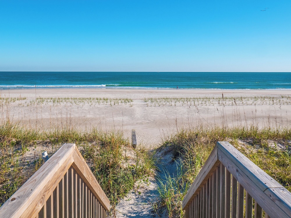 Blue Crab by Topsail Realty