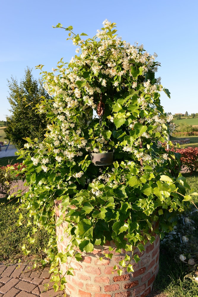 Monferrato Resort