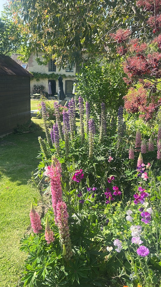 La Maison D'aline