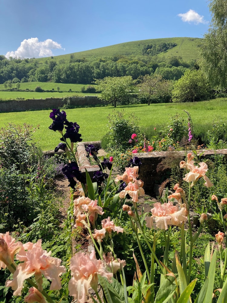 The Walled Garden
