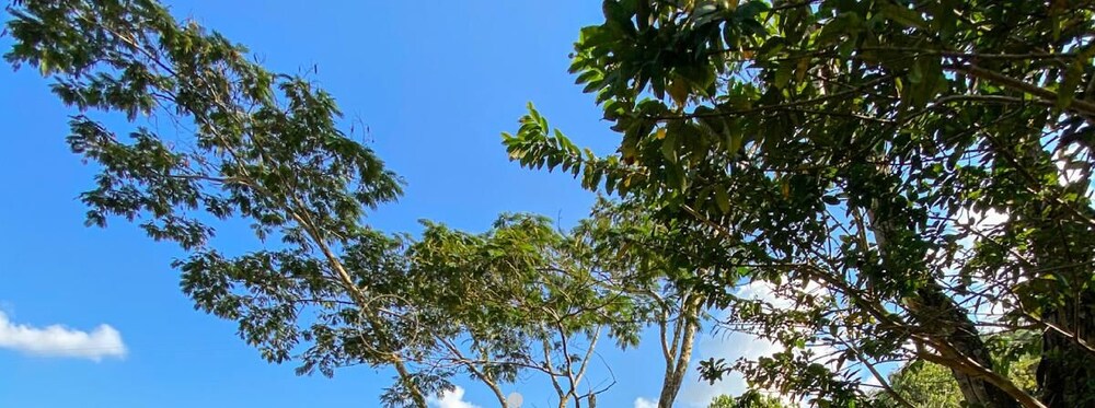 Hostería El Sendero Cocorná