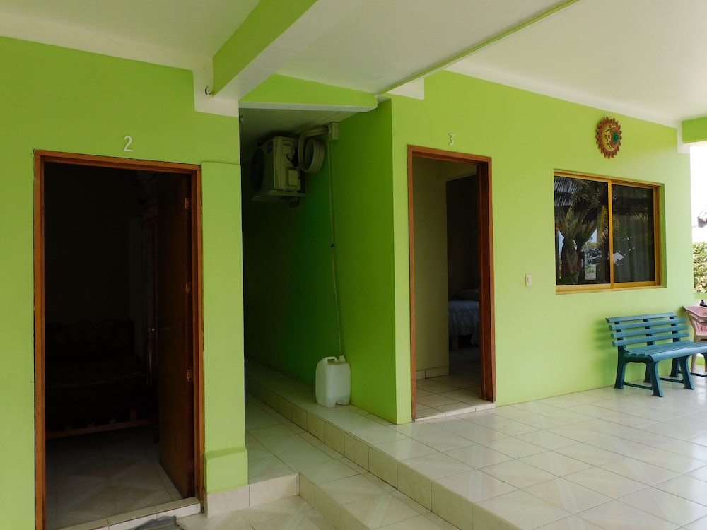 Photo 50