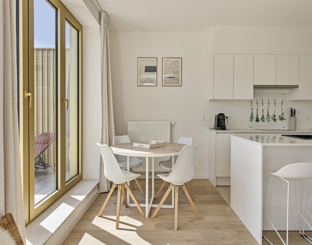 Flat in Belgium Near Sea Dyke & Town Center