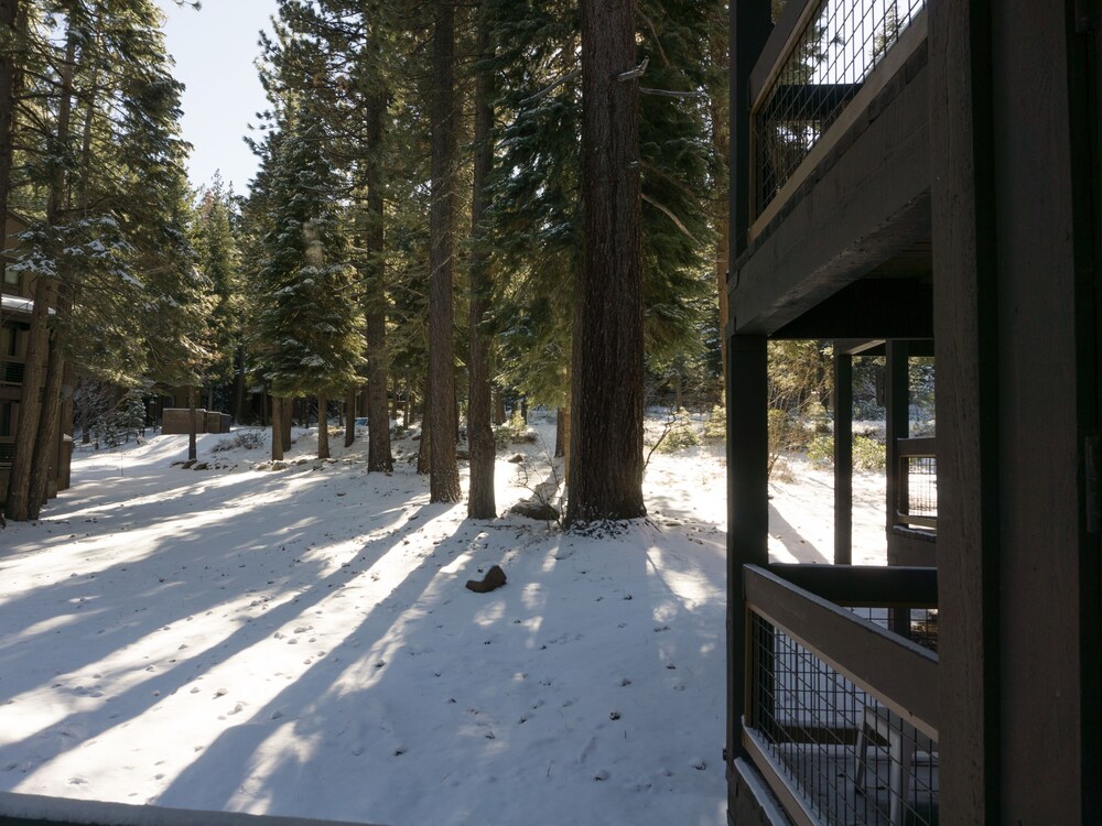 3130 Aspen Grove