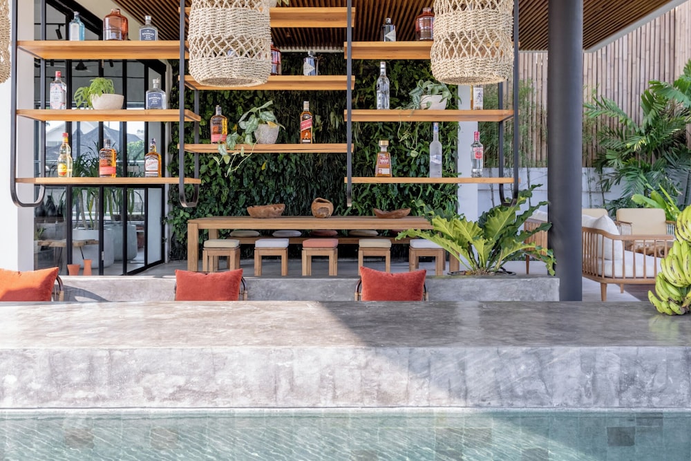 Mandala Oasis