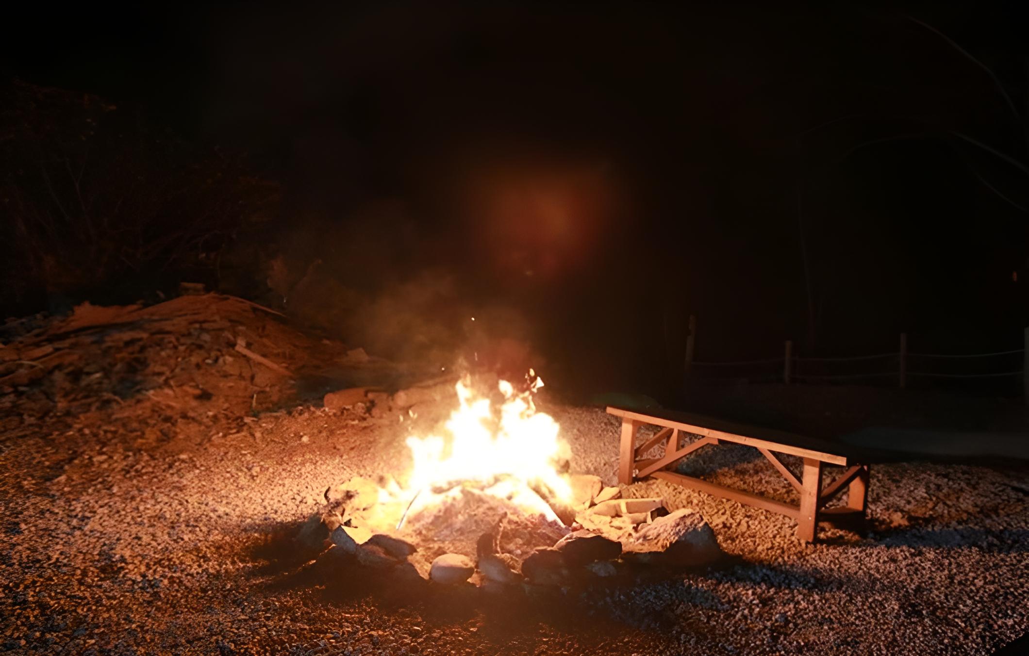 Photo 43