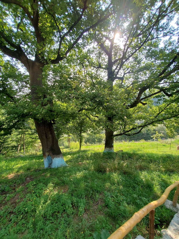 The Whispering Oaks Retreat