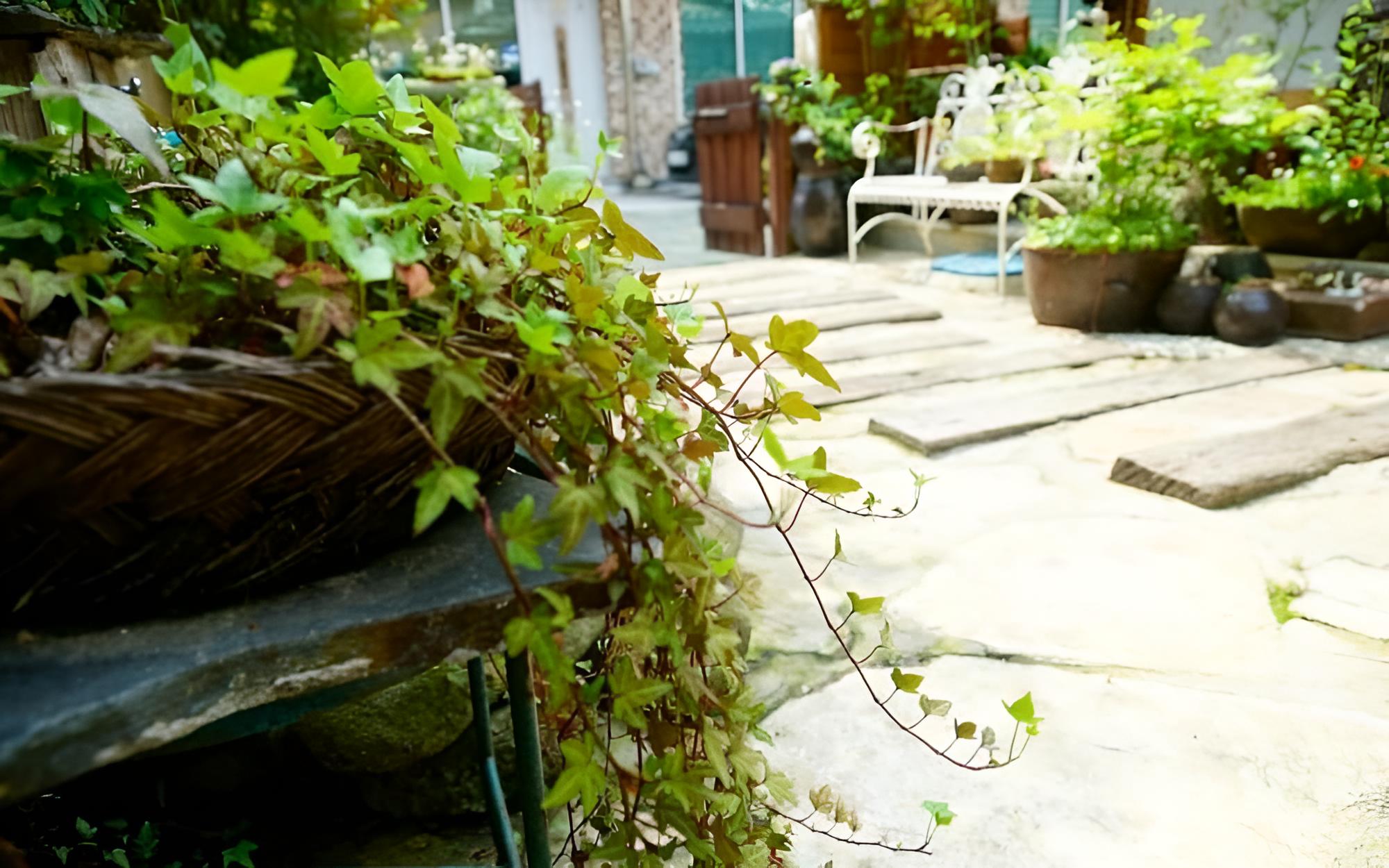 Photo 22