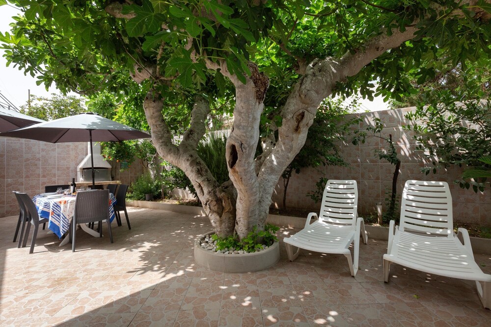 Photo 43