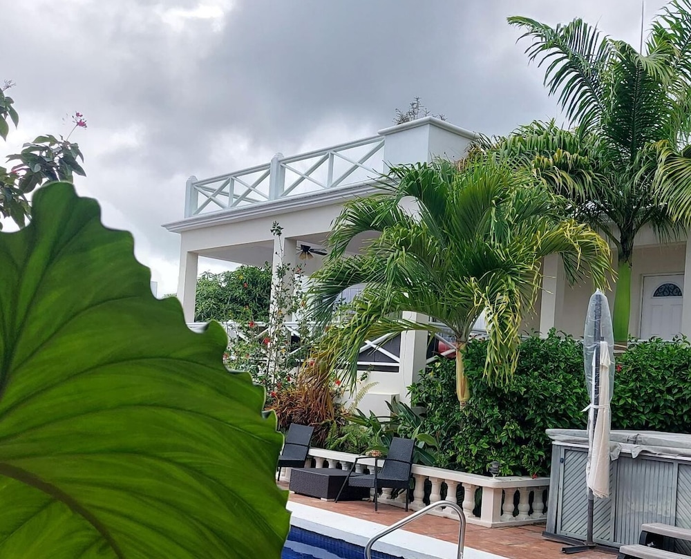Chez Mango Villas - Photo 42