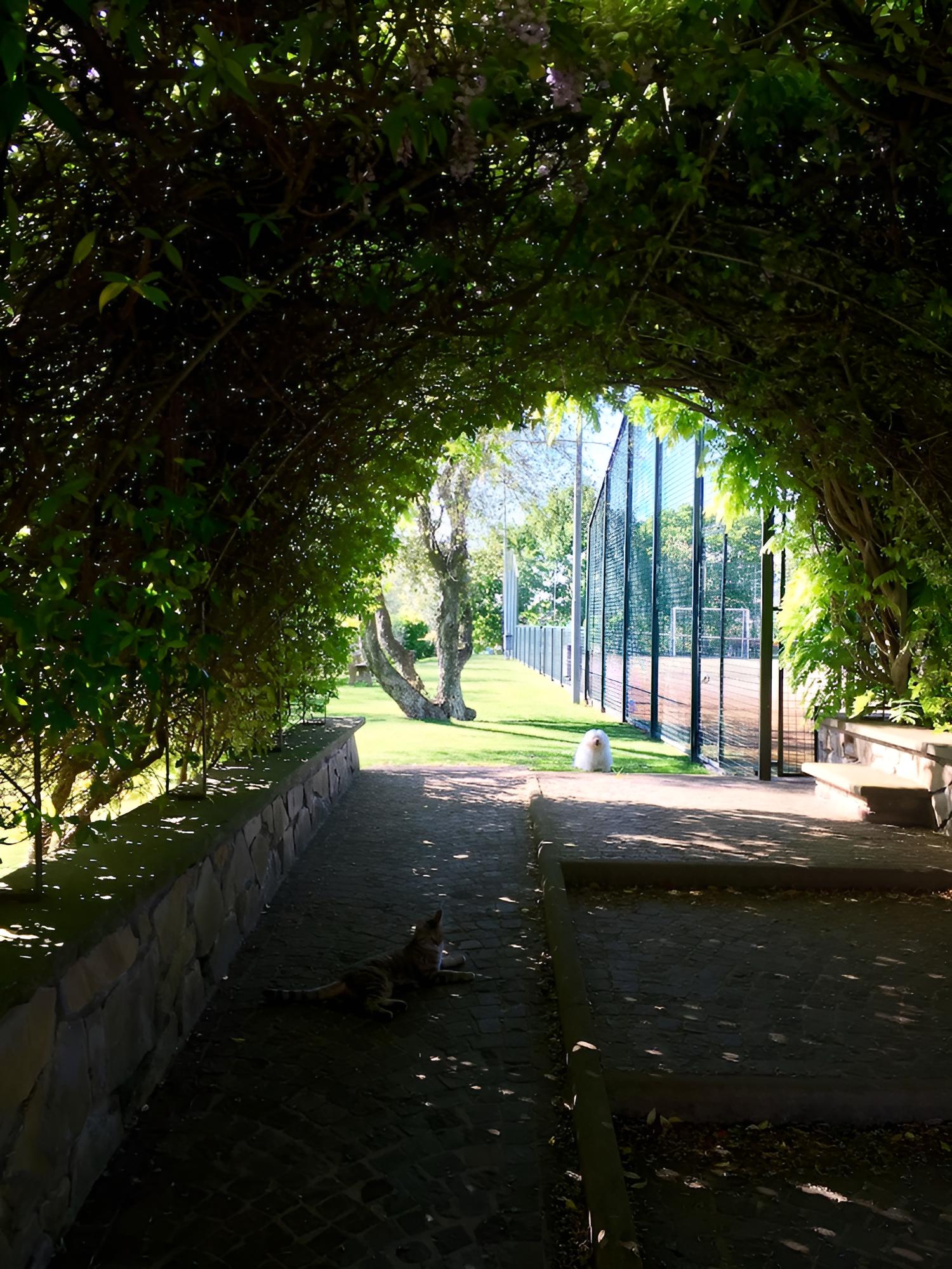 Relais Gli Ulivi