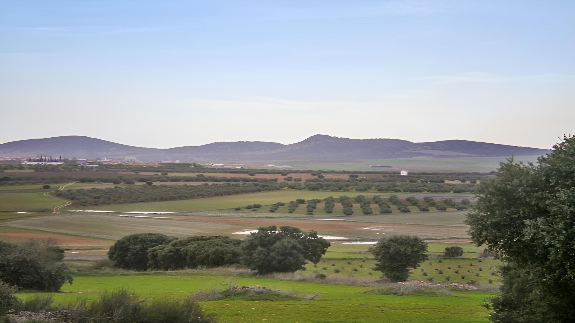 Casa Rural Alonso Quijano El Bueno